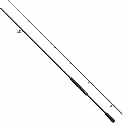 Shimano Sustain CX Spinning EVA Fast 2,49 m 21-56 g 2 díly