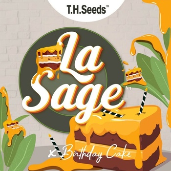 T.H. Seeds LA S.A.G.E. Cake regular semena neobsahuji THC 11 ks
