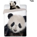 Faro bavlna povlečení Panda 140x200 70x90
