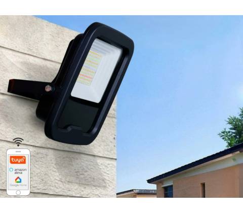 Nedes LF6033W