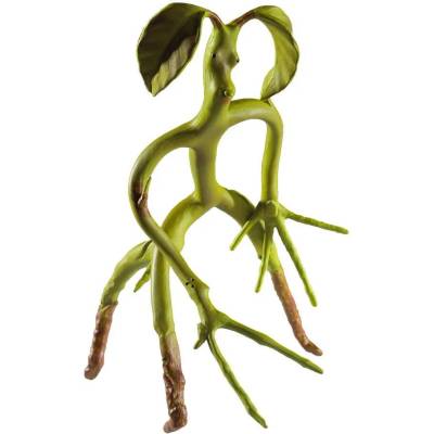 The Noble Collection Статуетка The Noble Collection Movies: Fantastic Beasts - Bowtruckle, 20 cm