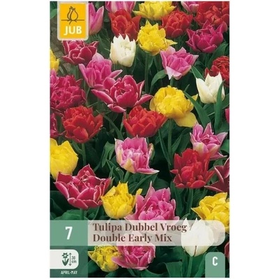 Tulipán Double Early mix 10 cibulí "C"