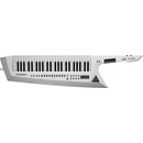 Roland AX-EDGE Keytar