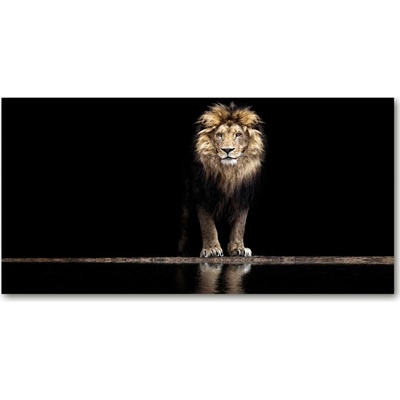 Foto obraz sklo tvrzené portrét leva 100x50 cm