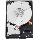Image 1 of Western Digital WD Black 3.5 10TB 7200rpm 256MB SATA3 (WD101FZBX)