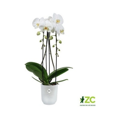 elho Květináč na orchideje Vibes Fold High transparentní 13,2 x 15,2 cm