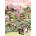 Magnolia - Puzzle Tea Garden - 1 000 piese