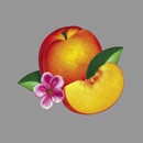 Phoenix - Bankrupt!