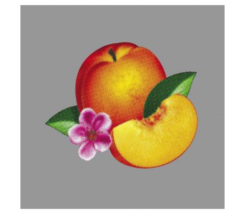 Phoenix - Bankrupt!