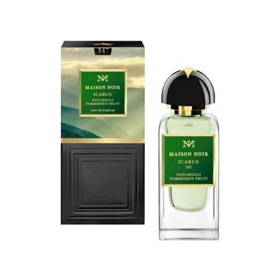 Maison Noir Icarus parfémovaná voda unisex 50 ml