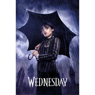 Pyramid International Plagát Wednesday - Downpour