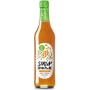 Koldokol Bio sirup rakytník 0,5 l