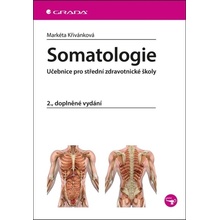 Somatologie - Markéta Křivánková