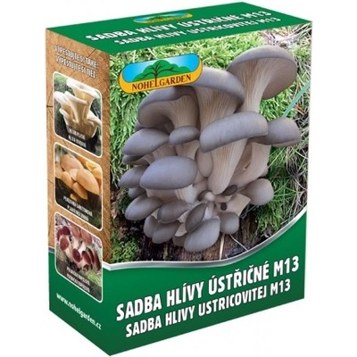 Nohel Garden M13 Sadba hlívy ústřičné 250 ml