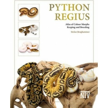 Python regius
