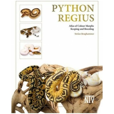 Python regius