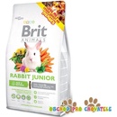 Brit Animals Rabbit Junior 300 g