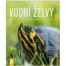 Vodní želvy
