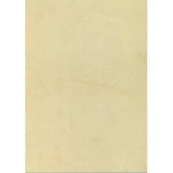 APLI Предварително отпечатана хартия, A4, 200 g, APLI, хавана 11960 (11960)