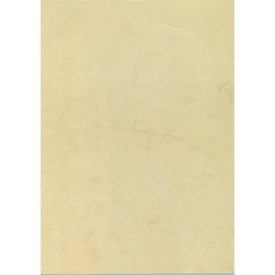 APLI Предварително отпечатана хартия, A4, 200 g, APLI, хавана 11960 (11960)
