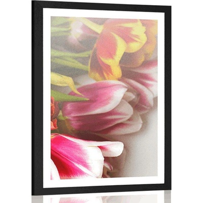 Plakát s paspartou kytice barevných tulipánů - 20x30 white