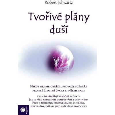 Tvořivé plány duší - Schwartz Robert