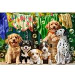 Castorland Puppies, Laundry and Bird Antics 500-piece puzzle B-54152
