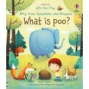 What is poo?