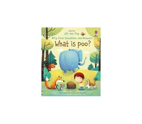 What is poo?
