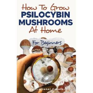 How to Grow Psilocybin Mushrooms at Home for Beginners | Anastasia V. Sasha (ISBN: 9781922940124)