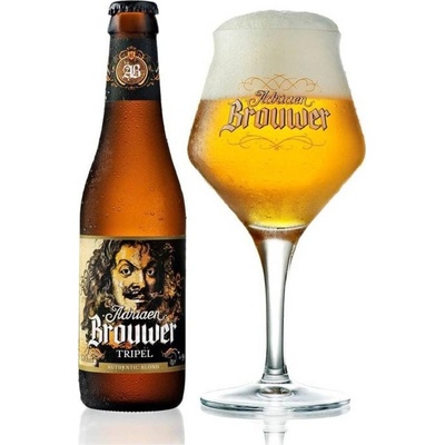 Roman Adriaen Tripel 19 9% 0,33 l (sklo)