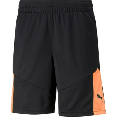 Puma individualFINAL Training Shorts