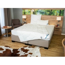 BeCo Letní přikrývka Proneem s ochranou proti roztočům 155x220