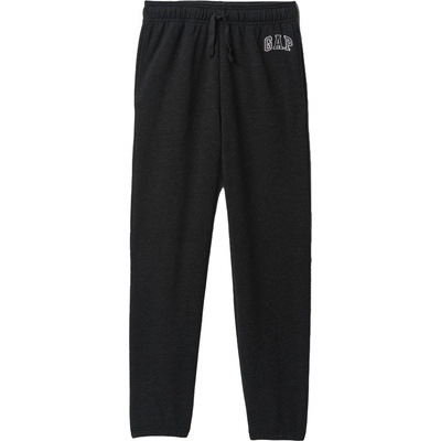 GAP V-frch heritage logo xl