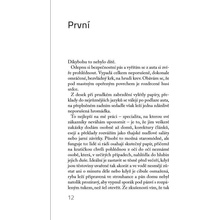 Listopadoví motýli - Audur Ava Ólafsdóttir