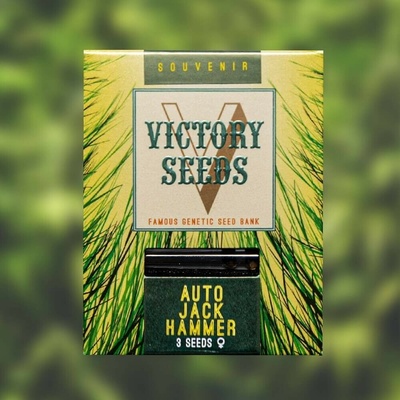 Victory Seeds AUTO Jack Hammer semena neobsahují THC 5 ks