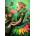 Alipson Puzzle - Puzzle Adagio - 1 000 piese