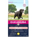 Eukanuba Senior Large 3 kg