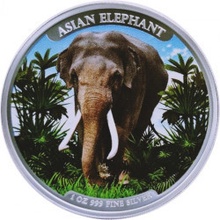 Rand Refinery strieborná minca Big Five Asian Elephant 2023 1 Oz