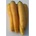 ? Семена Морков Jaune Obtuse du Doubs (Yellow Intermediate) - зимен сорт - около 1950 семена (3гр) (328200)