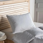DOQU Home Doqu ВЪЗГЛАВНИЦА С ГЪШИ ПУХ kaz tuyu 50x70 БЯЛa (2q9ystkzty0140000)