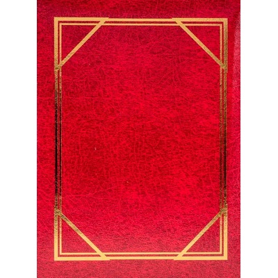 Mini album pro 100 fotek 10x15 Vinyl vínový