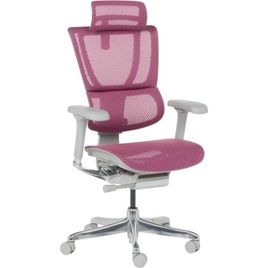  Ергономичен стол ergohuman ioo elite 2 - сива рамка - розов (b3520673)