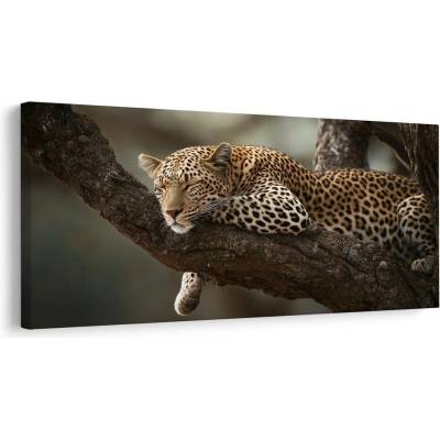Obraz divoká elegance v přírodě - 60x30