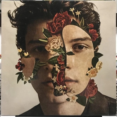 Shawn Mendes - Shawn Mendes (LP) (0602567569497)