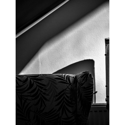 Fotografie - Zátiší 2