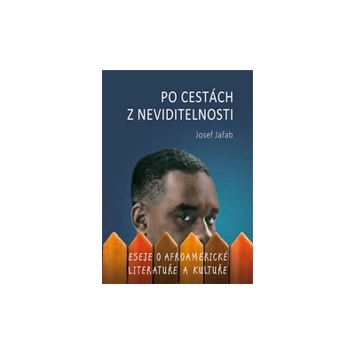 Po cestách z neviditelnosti - Josef Jařab