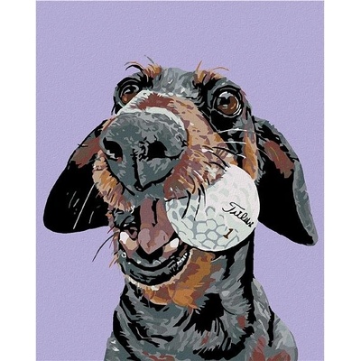 ZUTY Malování podle čísel PES S GOLFOVÝM MÍČKEM 40 x 50 cm