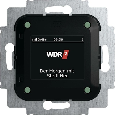Busch-Jaeger vložka rádio viacfarebná 2CKA008200A0275