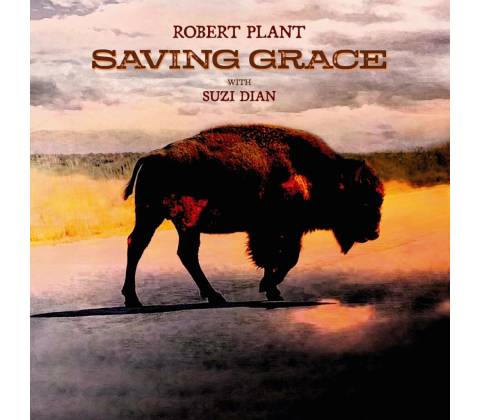 Plant Robert - Saving Grace / Vinyl LP